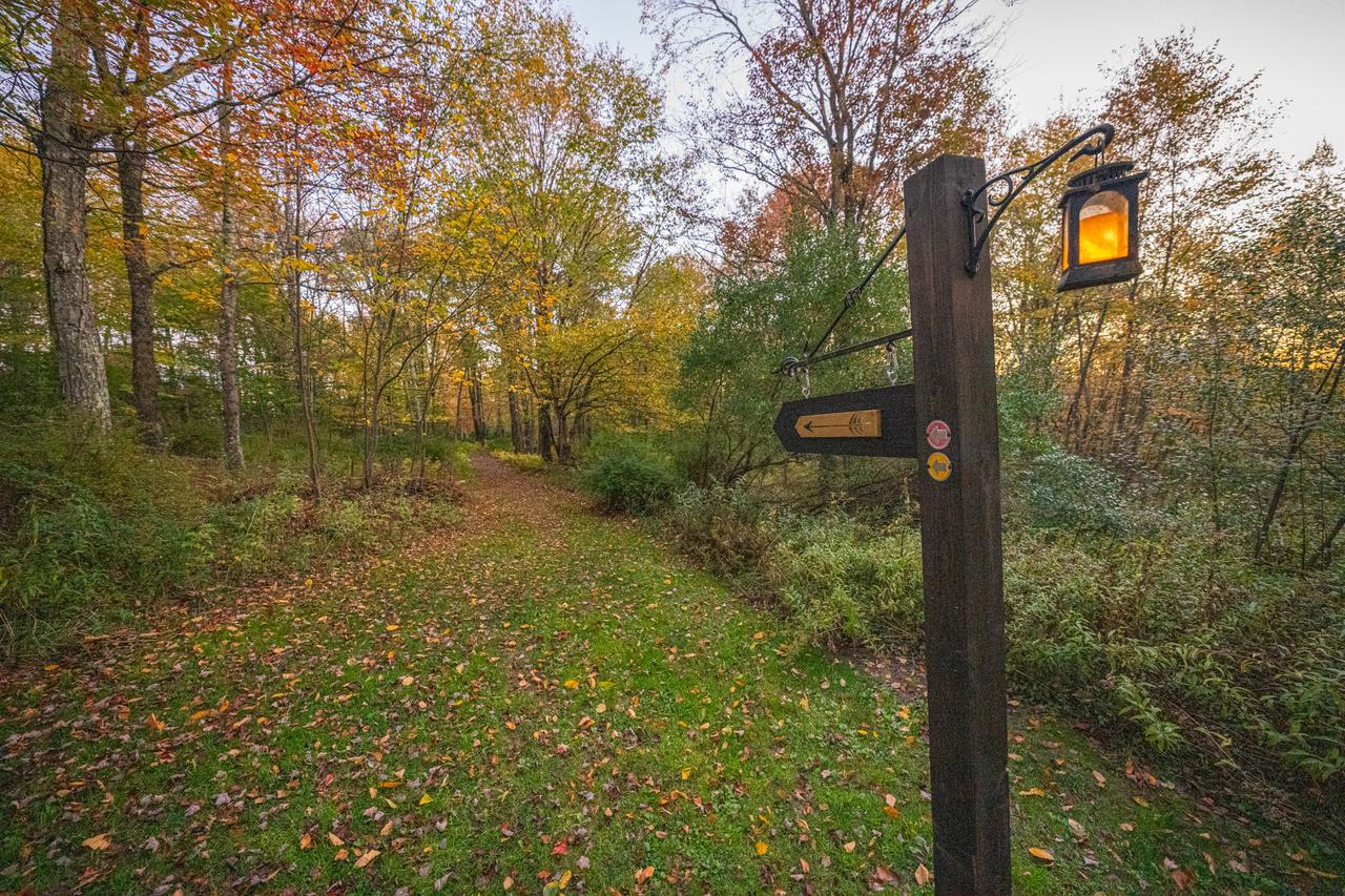 A timber signpost on the trail with a lit lantern hanging from an iron bracket, a black arrow pointing down a mown path into autumn woods, and red and yellow trail markers on the post