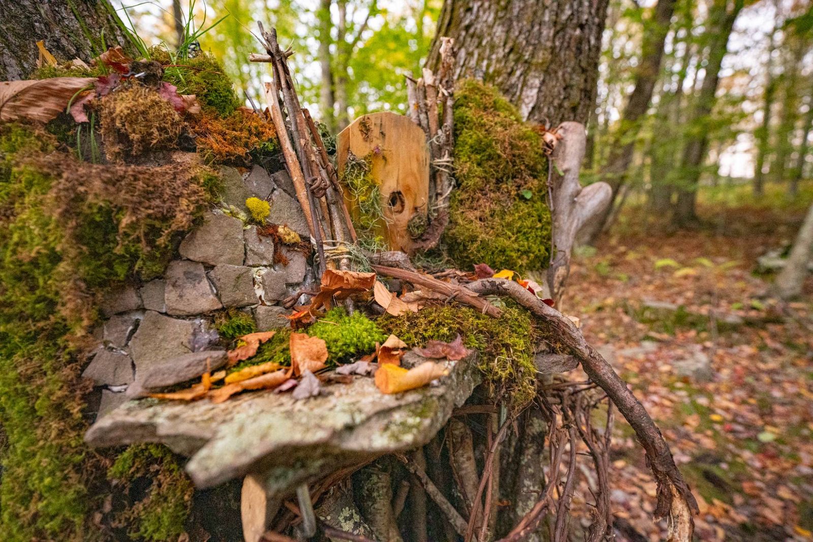 A fairy house built against a tree trunk from flat stones, moss and twigs, with a little wooden door
