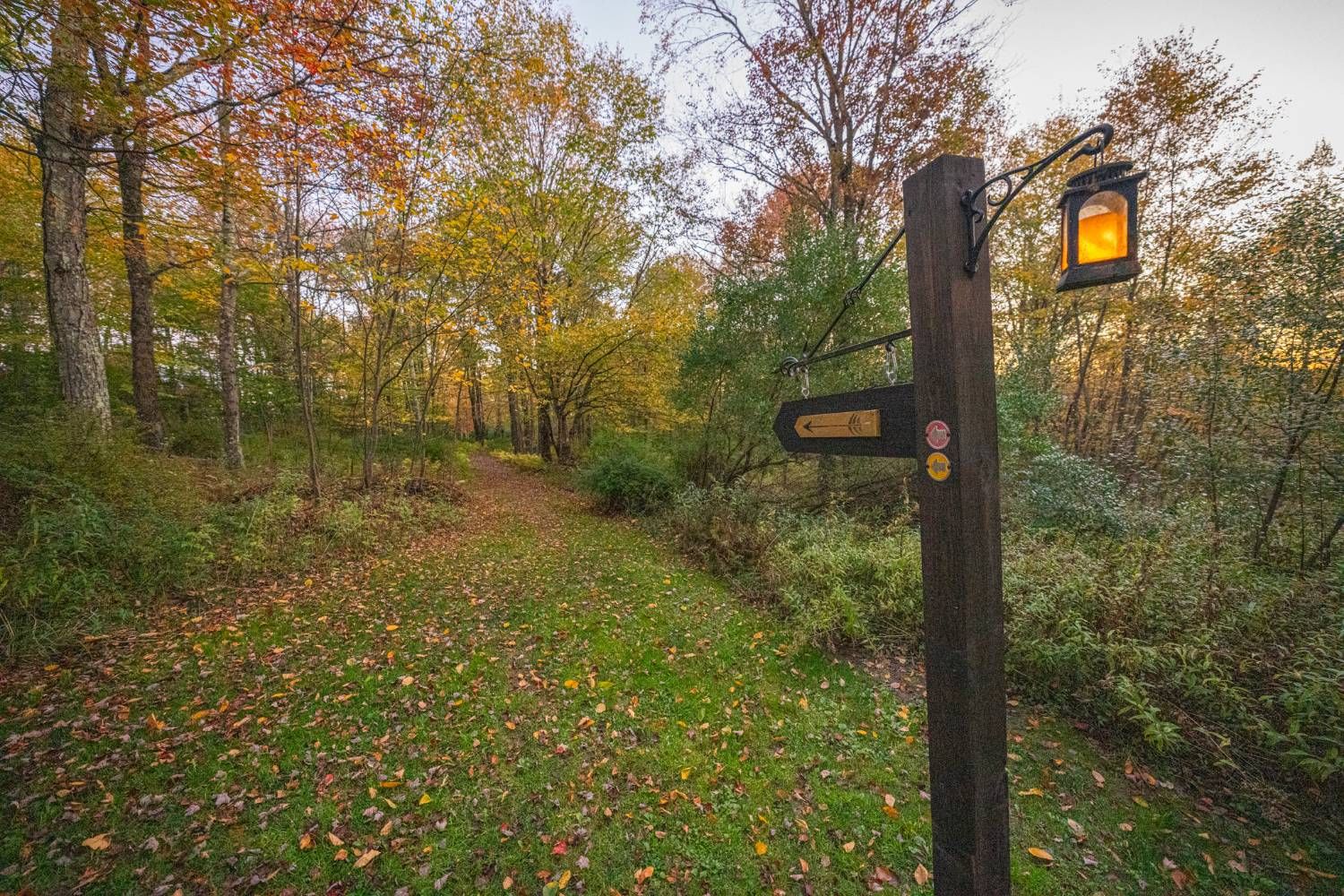 A trail post with a lit lantern and an arrow pointing down a leaf-strewn path into autumn woods